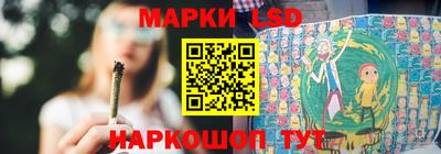гидропоника Пугачёв