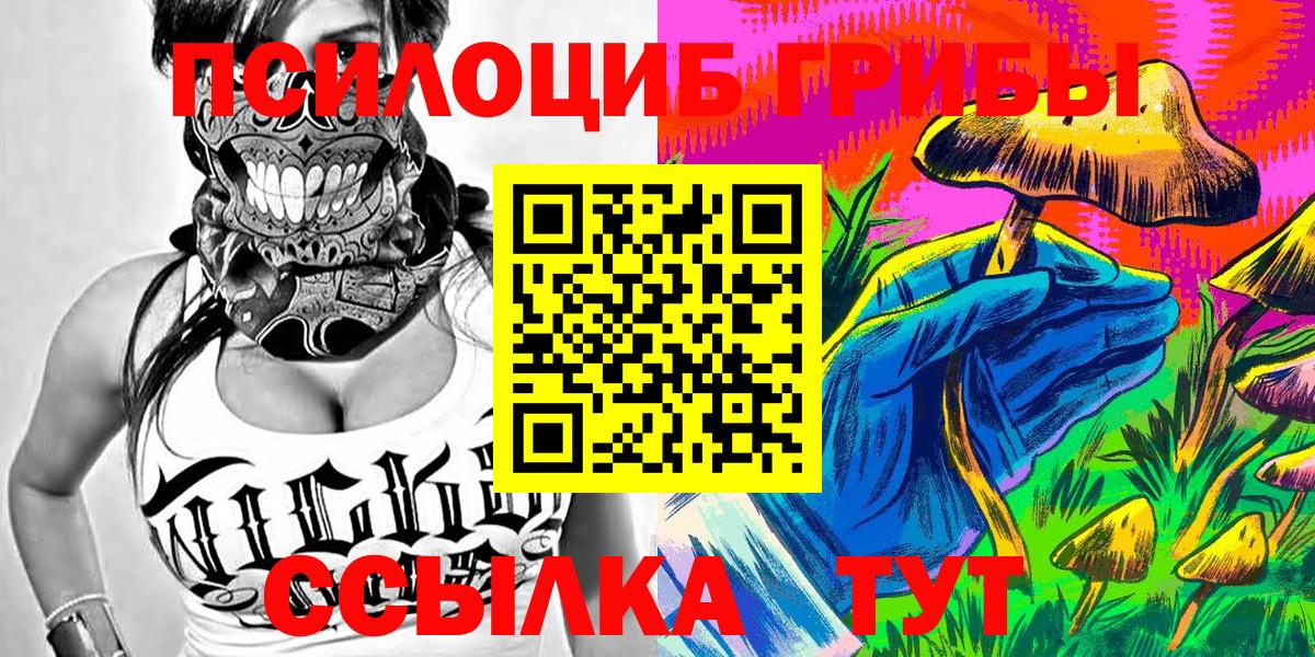Псилоцибиновые грибы Psilocybine cubensis  Вход с VPN  Сокол 
